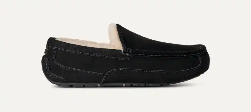 Homme Chausson Ascot - BLACK