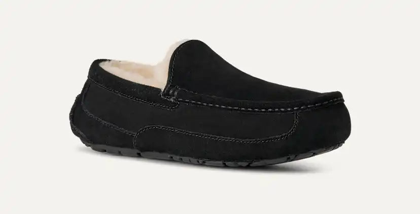 Homme Chausson Ascot - BLACK