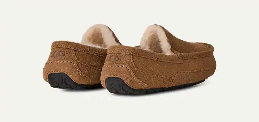 Homme Chausson Ascot - CHESTNUT