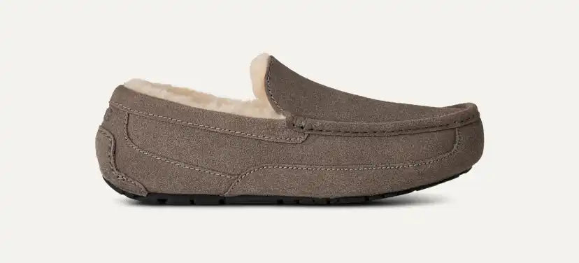 Homme Chausson Ascot - GREY