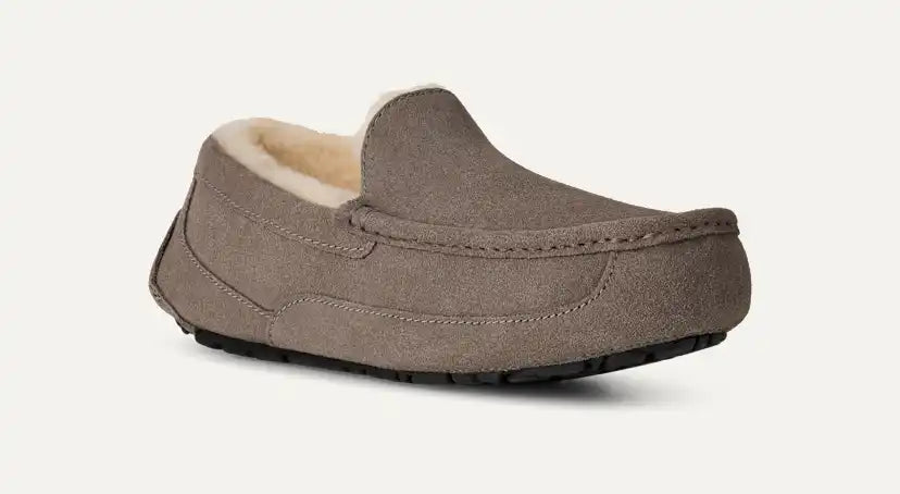 Homme Chausson Ascot - GREY