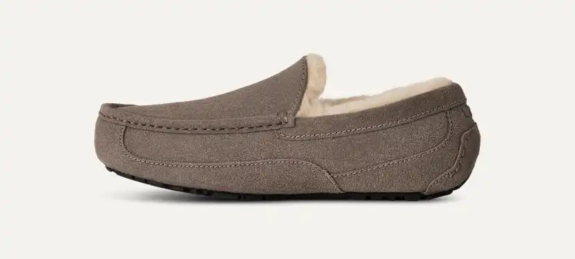 Homme Chausson Ascot - GREY