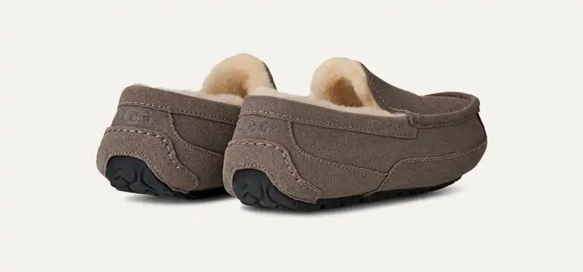 Homme Chausson Ascot - GREY