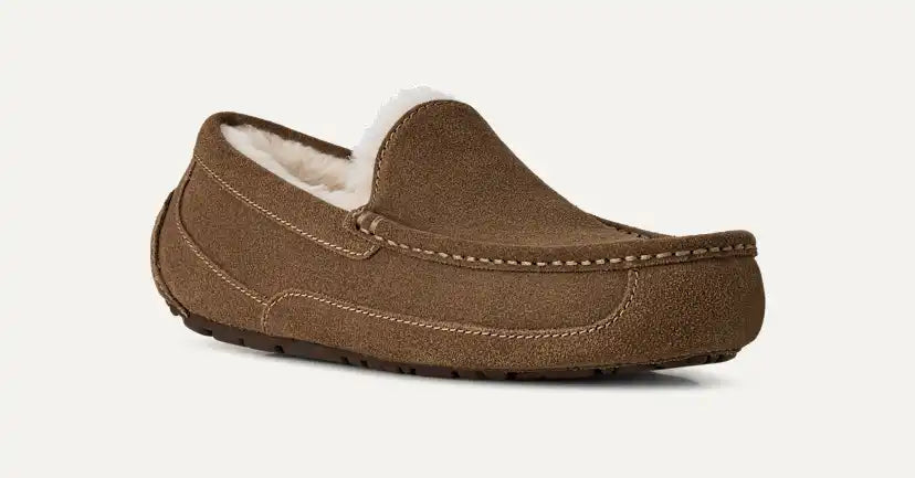 Homme Chausson Ascot - LIGHT BRONZE