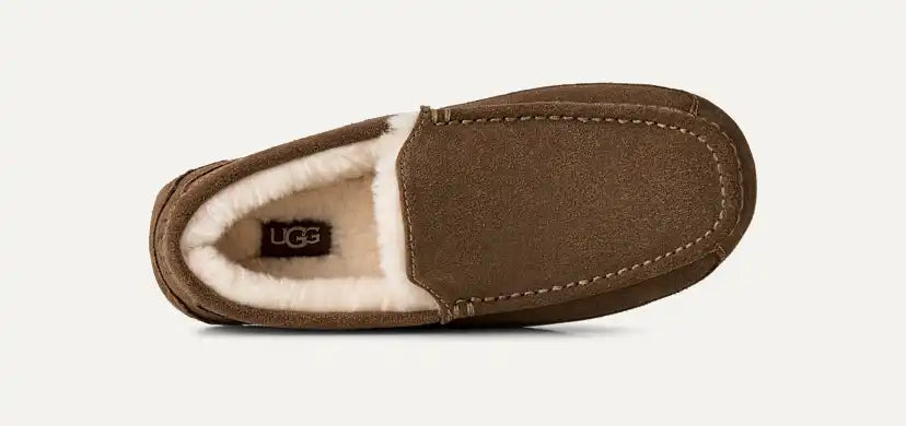 Homme Chausson Ascot - LIGHT BRONZE