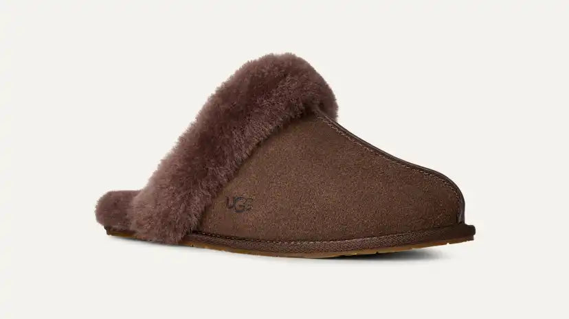 Femme Chausson Scuffette II - DCCD