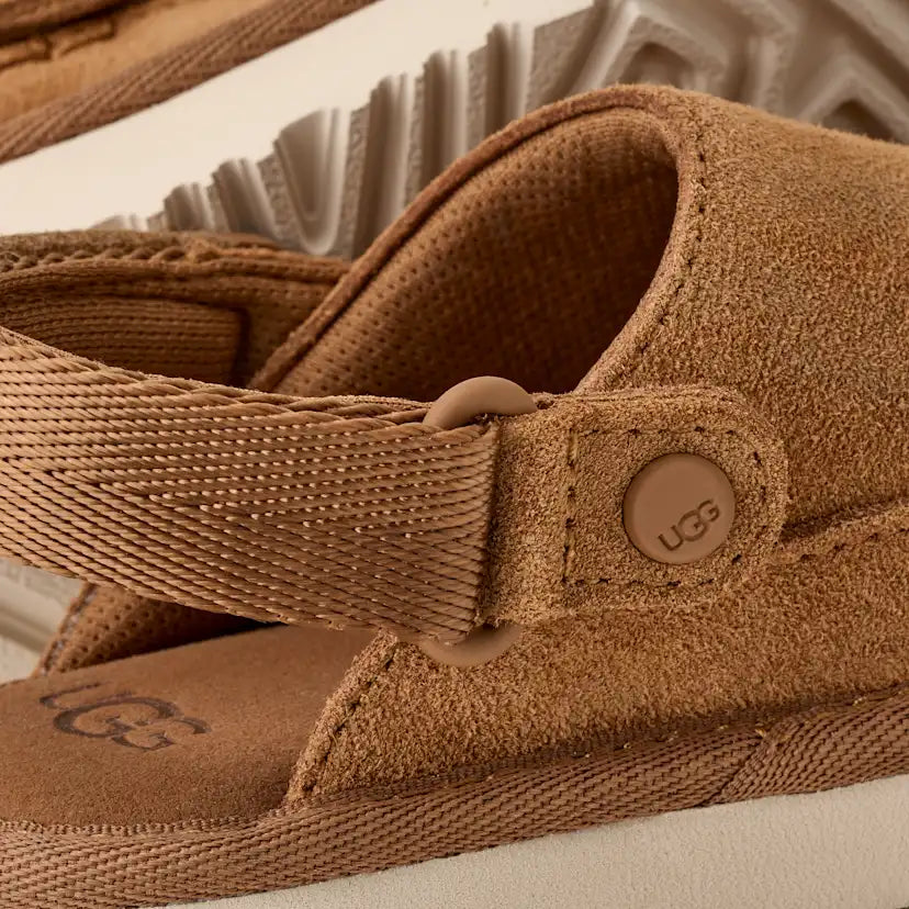 Tout Petit Sabot Goldenstar - CHESTNUT