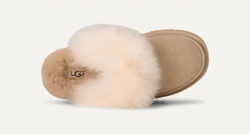 Femme Chausson Disquette Chalet