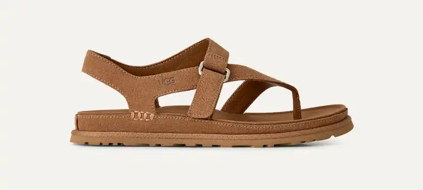 Femme Sandale GoldenGaze Toe Post - CHESTNUT
