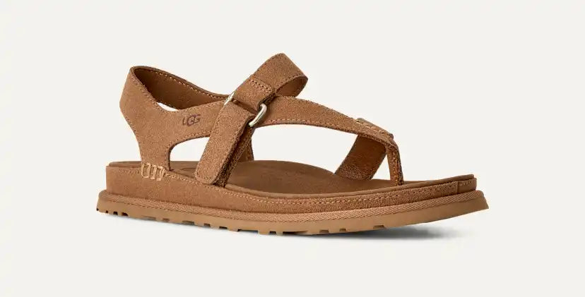 Femme Sandale GoldenGaze Toe Post - CHESTNUT