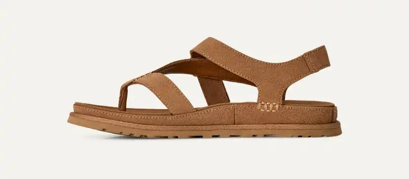 Femme Sandale GoldenGaze Toe Post - CHESTNUT