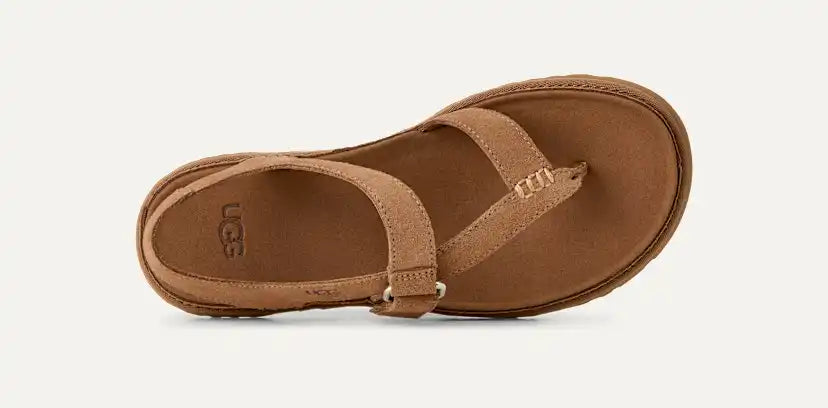Femme Sandale GoldenGaze Toe Post - CHESTNUT