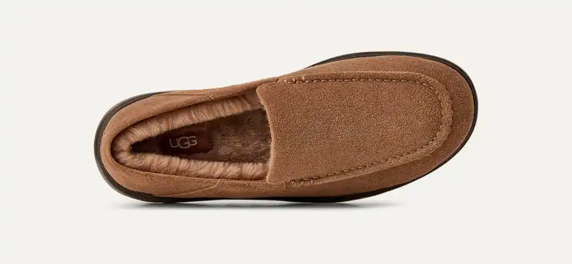 Homme Mocassin Shep - CHE