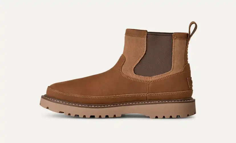 Homme Botte Birch Chelsea - CHESTNUT