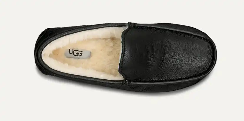 Homme Chausson Ascot - BLK