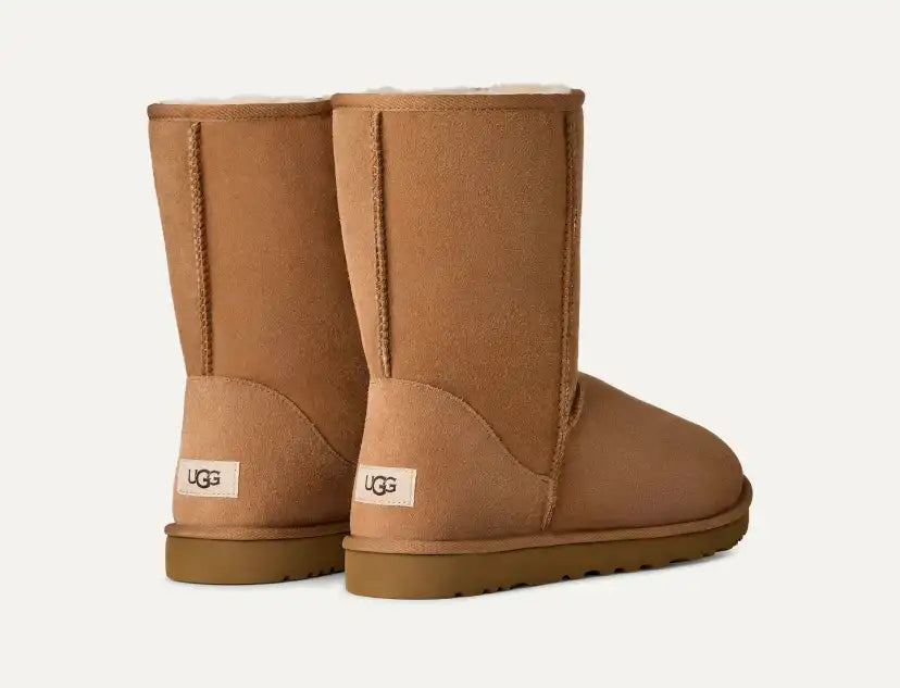 Homme Botte Classic Short - Chestnut